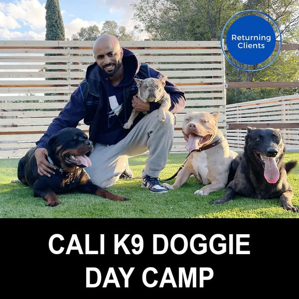 Cali K9 Doggie Day Camp Cali K9®
