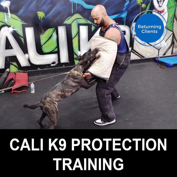 Cali K9 Protection Training Cali K9®