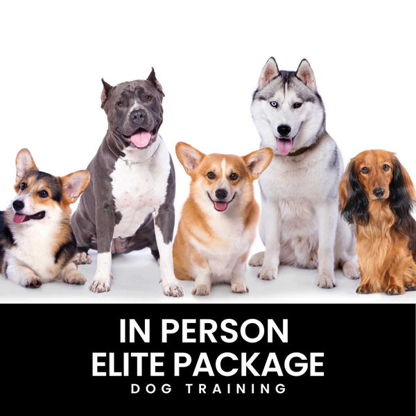Elite In-Person Dog Training Package Cali K9® Online Store