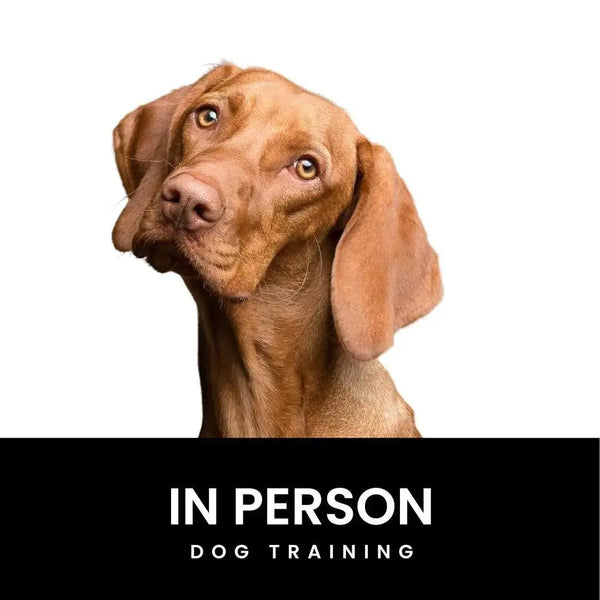 In-Person Dog Training Package (16 session) Cali K9® Online Store