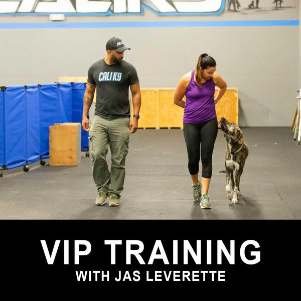 VIP Training With Jas Leverette Cali K9®
