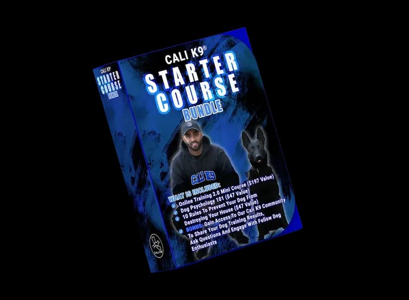 Starter Course Bundle \u2014 three courses in one package