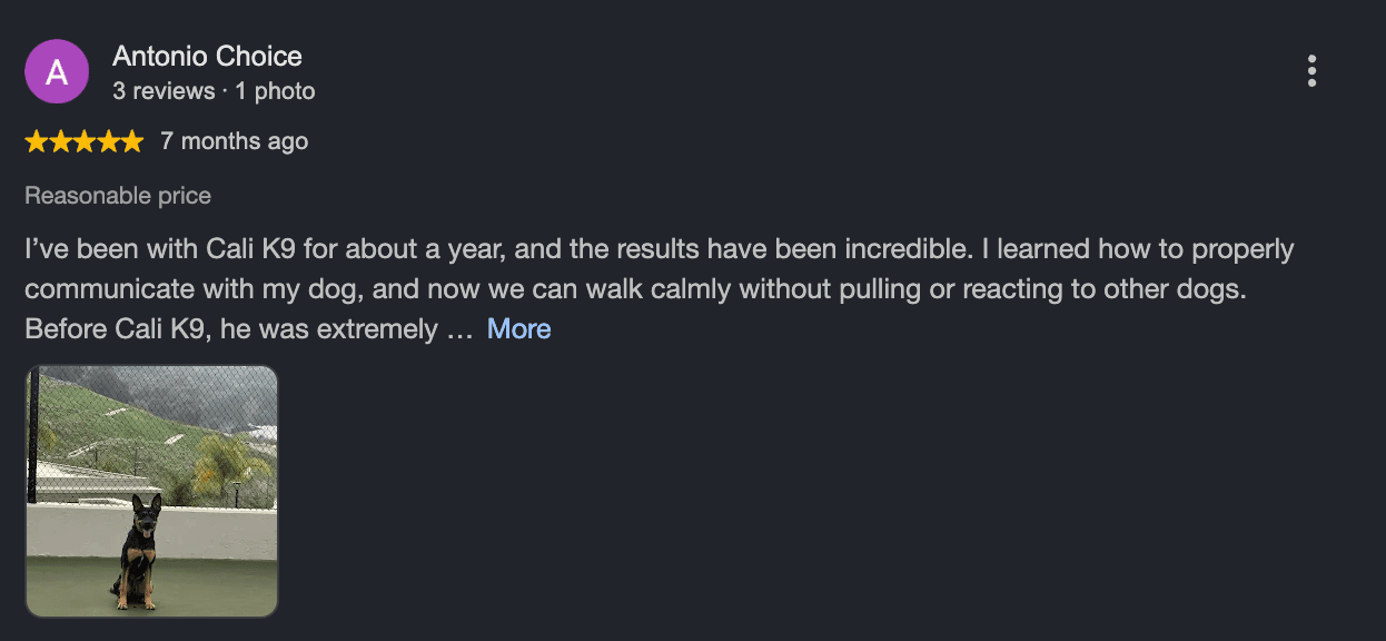 Five-star Google review from Antonio Choice: walks calmly without pulling or reacting after a year with Cali K9