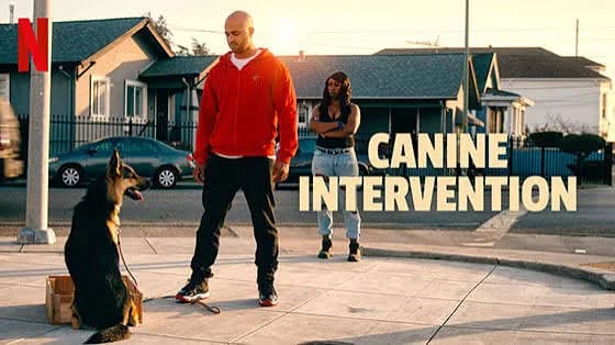 Jas Leverette in Netflix's Canine Intervention