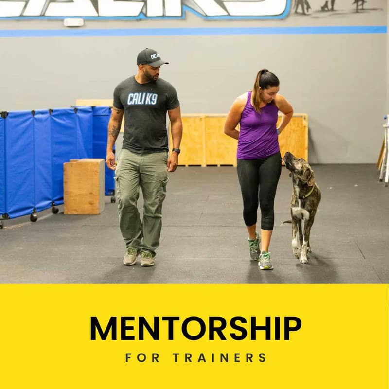 BUSINESS COACHING — Cali K9