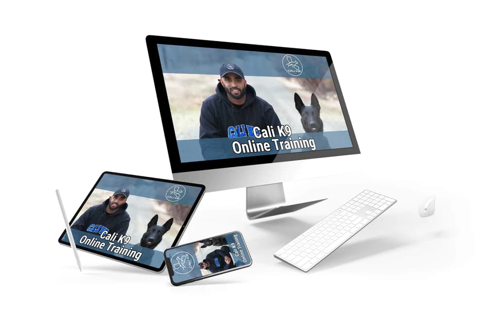 ONLINE TRAINING PROGRAM 2.0 — Cali K9