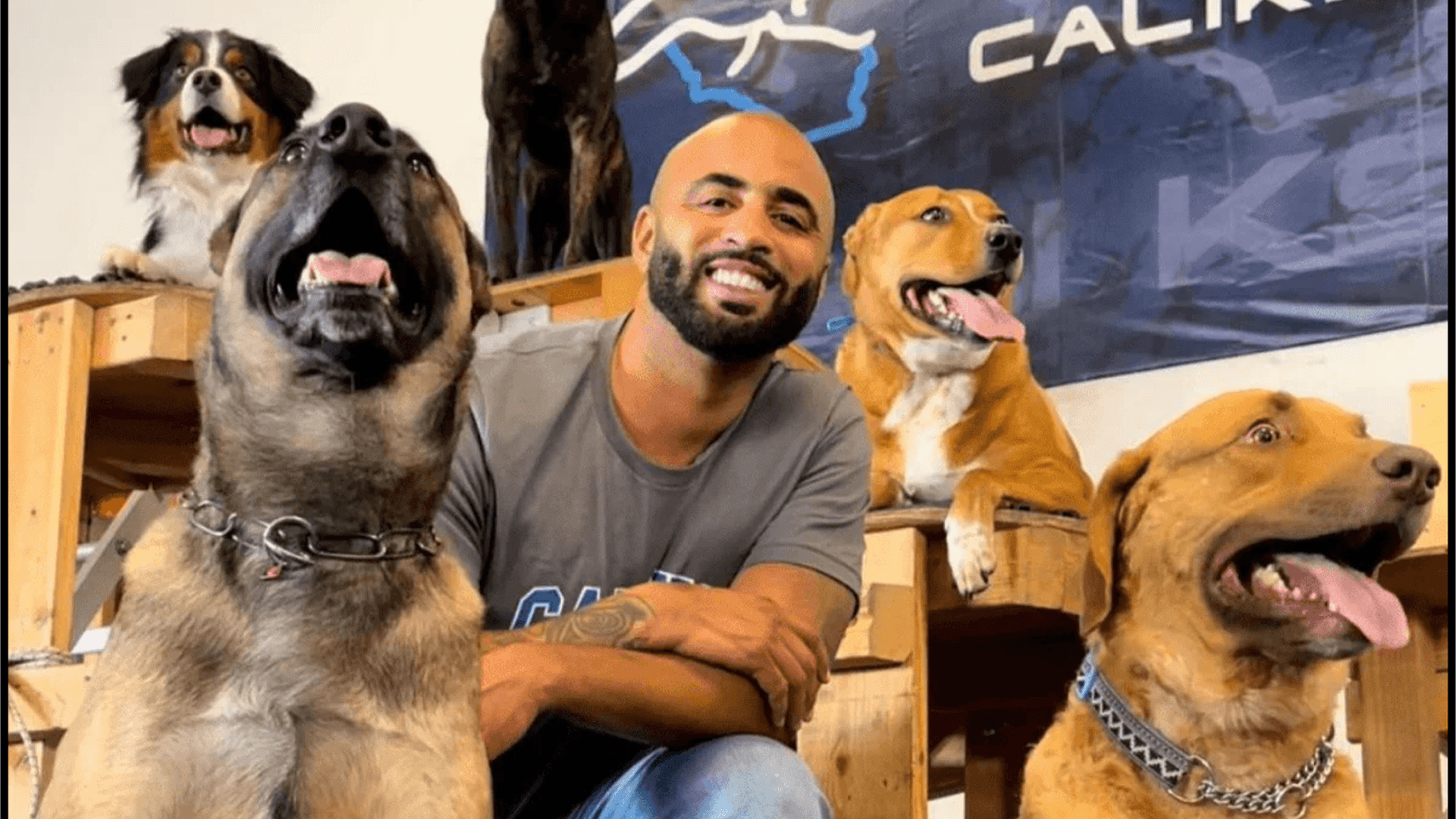 IN-PERSON TRAINING — Cali K9