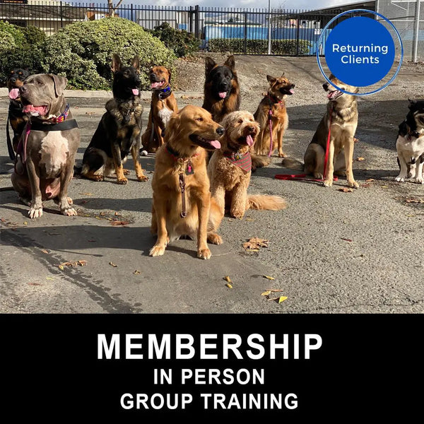 Cali K9 Membership In Person Group Cali K9®