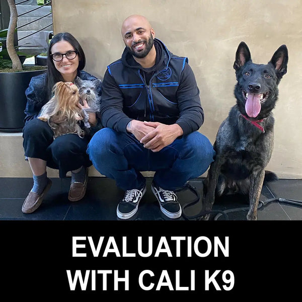Evaluation with Cali K9 Cali K9®