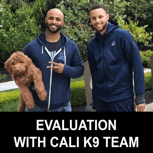 Evaluation with Cali K9 Team Cali K9®