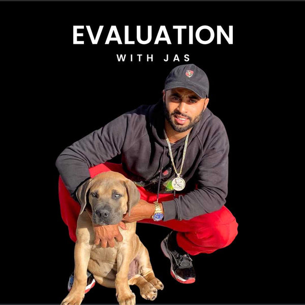 Evaluation with Jas Cali K9®