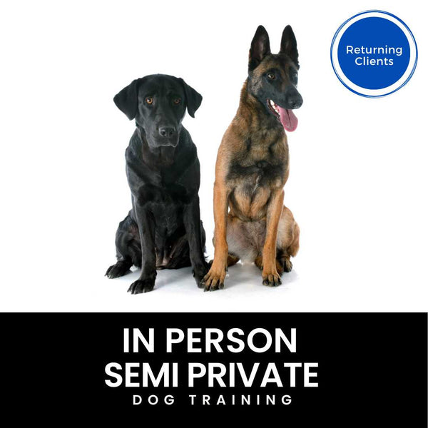 In Person Semi-Private Dog Training (Members Only) Cali K9®