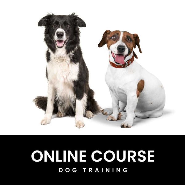 Online Dog Training Courses 2.0 Cali K9®