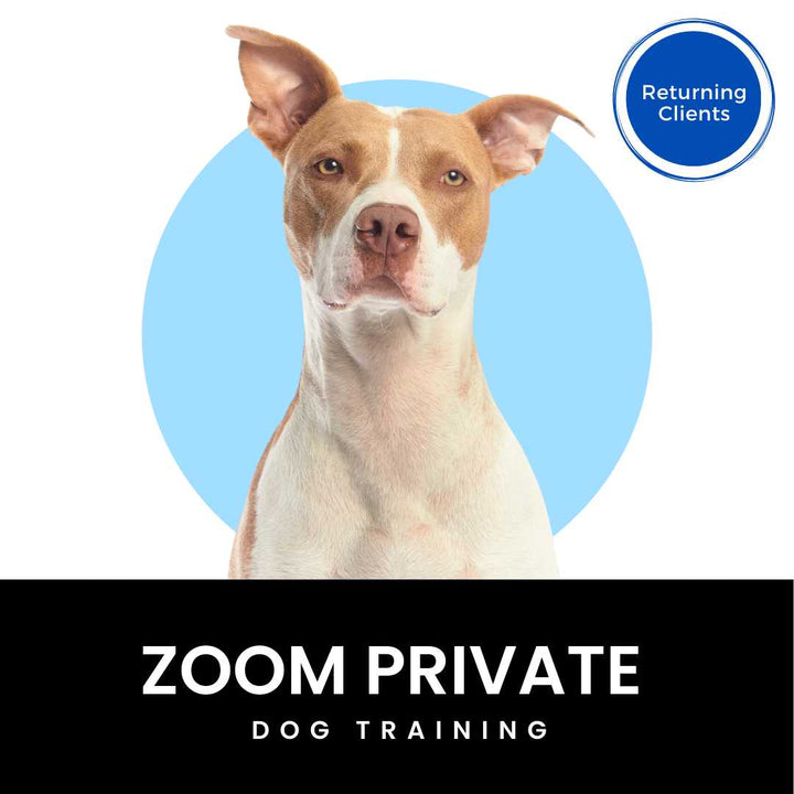 Zoom Private Dog Training Cali K9®