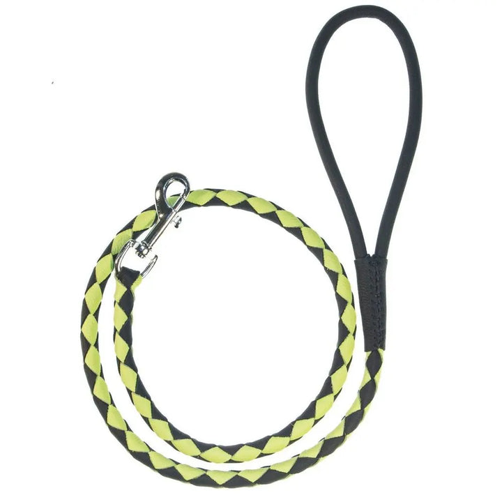 Soft Leather Dual-Color Braided Round Lead Dogline