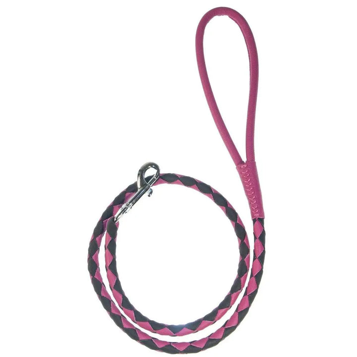 Soft Leather Dual-Color Braided Round Lead Dogline